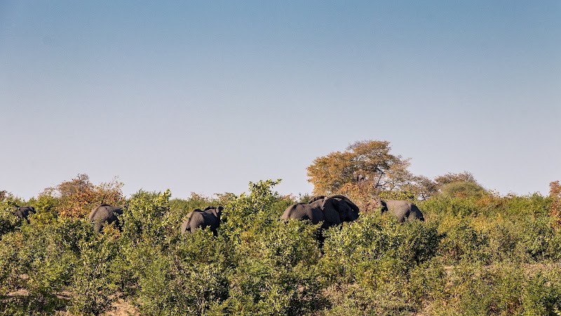 Bwabwata-National Park - Bwabwata-National Park, DIvundu, Namibia