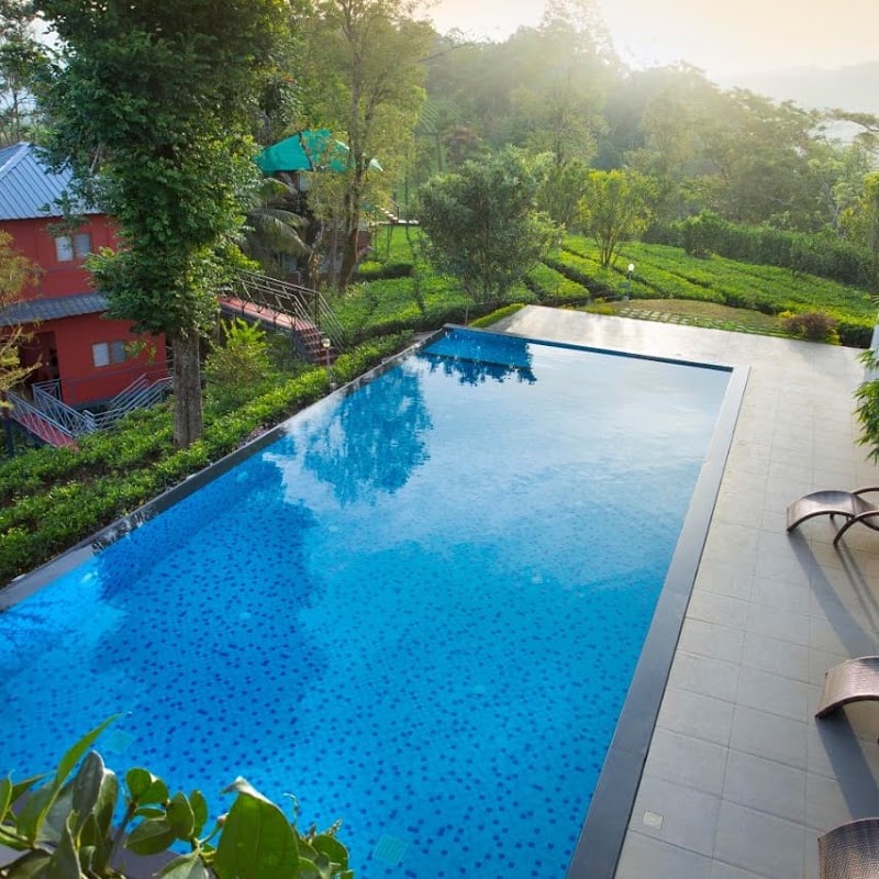 Munnar Treehouse - Munnar Treehouse 22PV+V47, Munnar, Kerala 685565, India