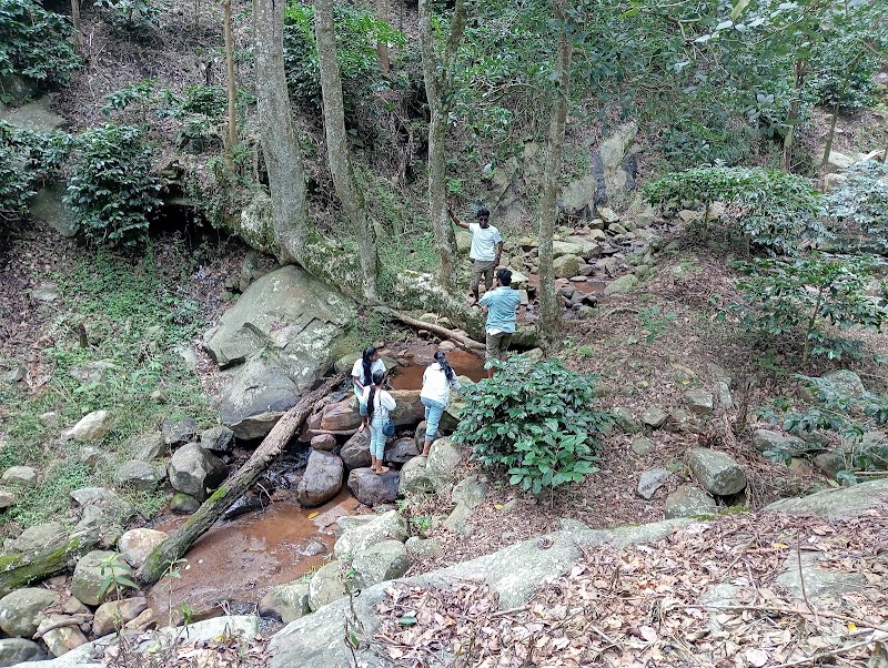 YERCAUD OFF ROAD 4×4 ADVENTURE JEEP SAFARI - YERCAUD OFF ROAD 4×4 ADVENTURE JEEP SAFARI Lake boat house, Yercaud, Salem, Tamil Nadu 636602, India