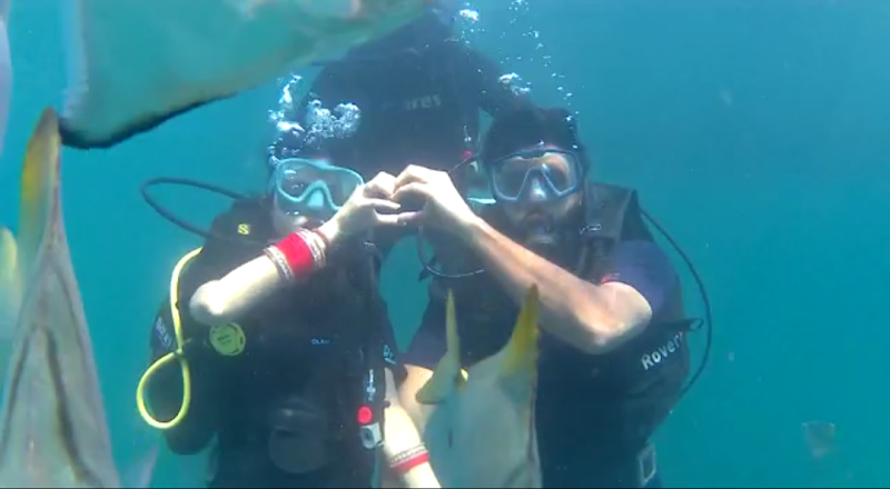 Goa Seaside Tours & Travels