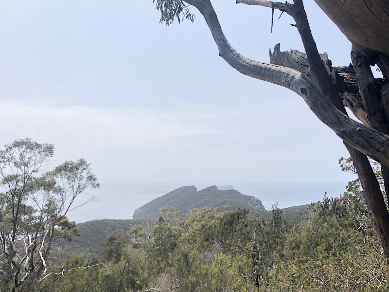 Cape Hauy - Cape Hauy, Australia