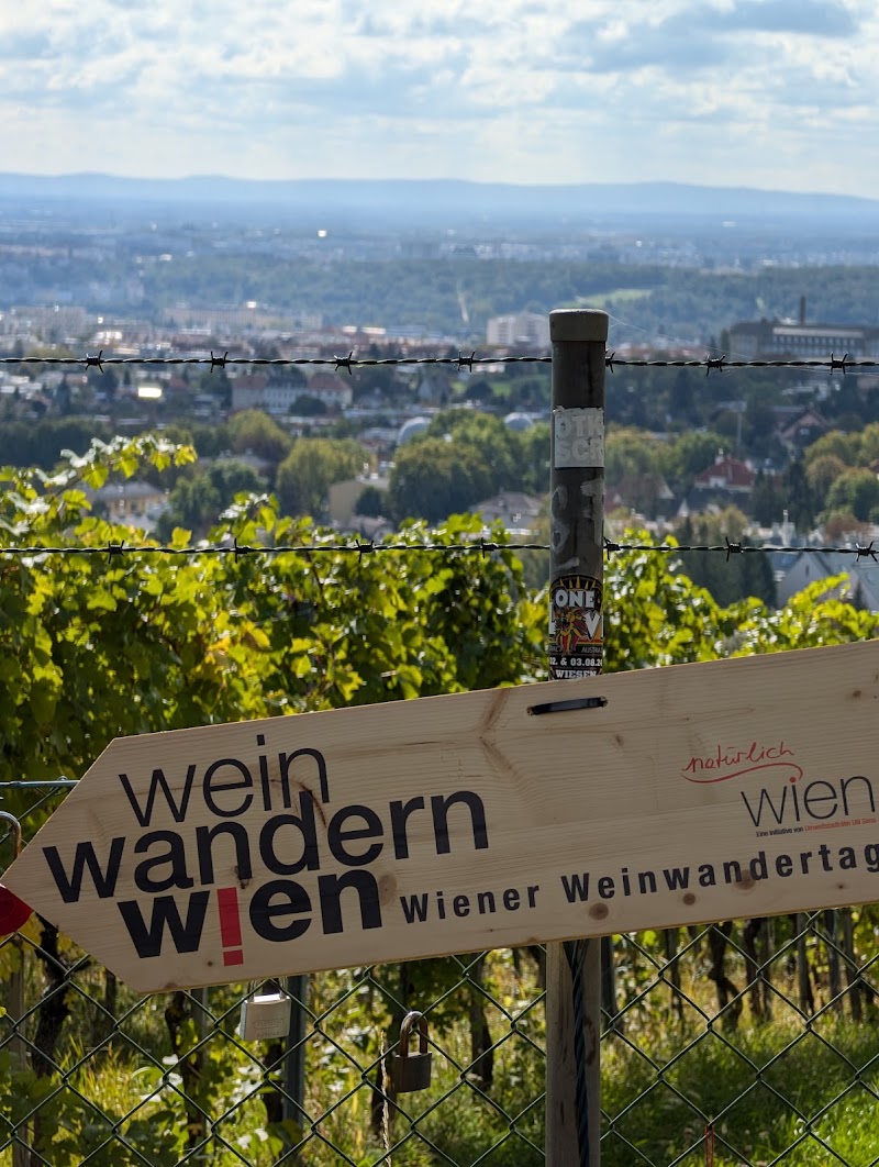 Ottakringer Weinwandertag - Ottakringer Weinwandertag, Speckbachergasse 14, 1160 Wien, Austria