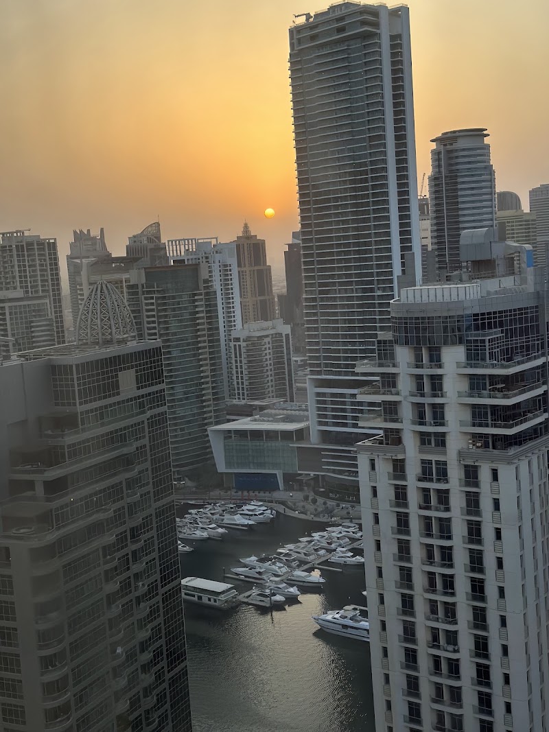 Business Backpackers JBR - Business Backpackers JBR 2902, Amwaj 4 - مرسى دبي - مساكن شاطئ جميرا - دبي - United Arab Emirates