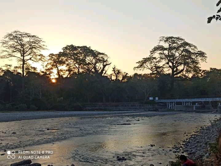 Dooars - Dooars, dhupjhora, batabari, jalpaiguri dooars, RQJV+3MR, Batabari, West Bengal 735206, India