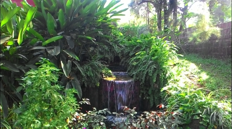 Magic Garden