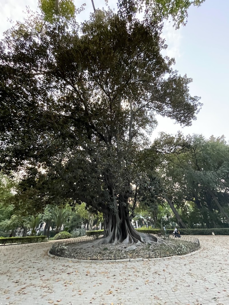 Parque de María Luisa - Parque de María Luisa 41013 Seville, Spain