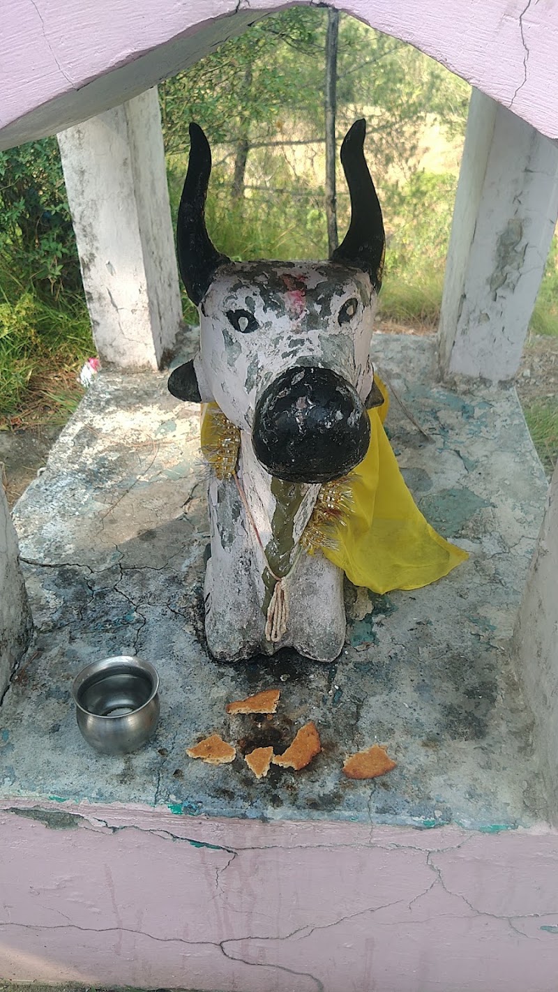 Baba Balak Nath Temple - Baba Balak Nath Temple, JG63+HCQ, Hamirpur, Himachal Pradesh 174311, India