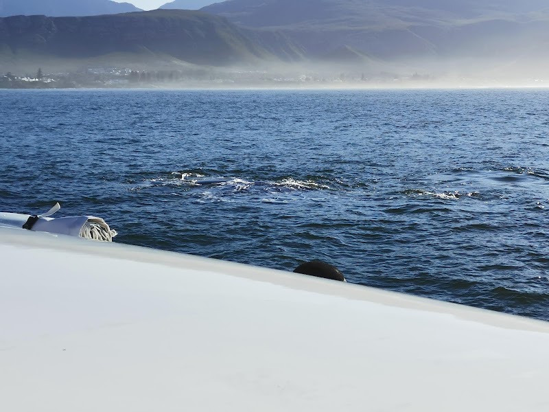 Walker Bay - Walker Bay, South Africa
