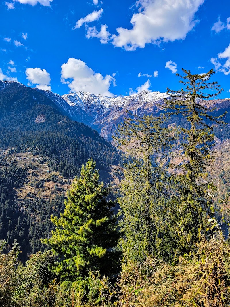 Hallan - Hallan 45J4+W4, Badgran, Himachal Pradesh 175129, India