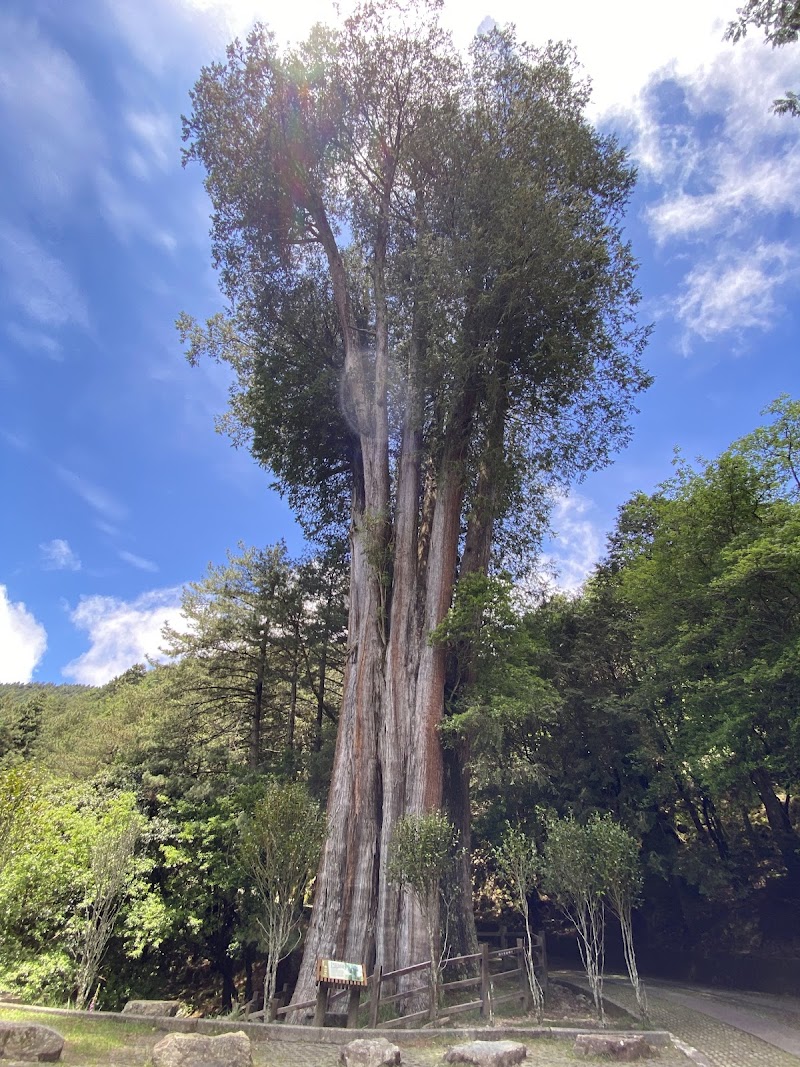 Daxueshan National Forest Recreation Area - Daxueshan National Forest Recreation Area, 424, Taiwan, Taichung City, Heping District, Zhongkeng Village, 雪山路18號