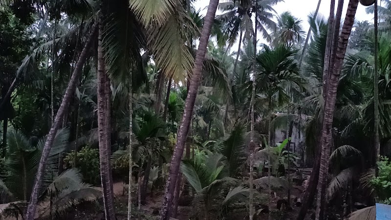 Tarkar Wadi Guest House - Tarkar Wadi Guest House, JW23+289, Nagaon, Maharashtra 402204, India