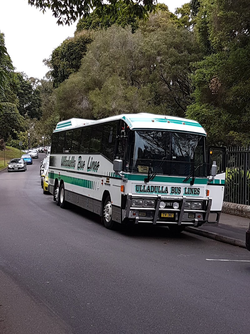 Mrs Macquaries Road - Mrs Macquaries Road, Mrs Macquaries Rd, Sydney NSW 2000, Australia