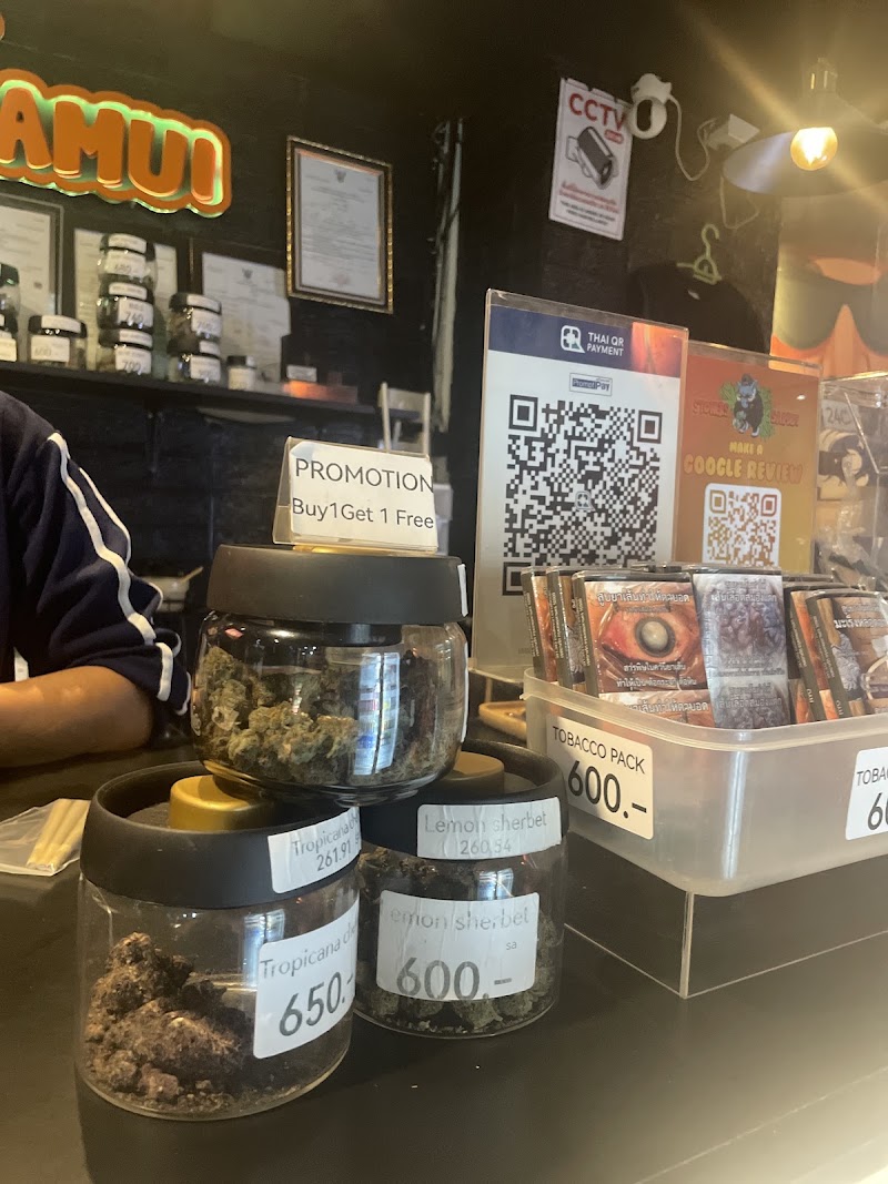 Stoners Samui Chaweng - Stoners Samui Chaweng, 17 48, ตำบล บ่อผุด อำเภอเกาะสมุย สุราษฎร์ธานี 84320, Thailand