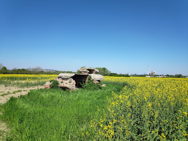 Bunker B-S 7 - Bunker B-S 7, D2, 851 01 Bratislava-Petržalka, Slovakia