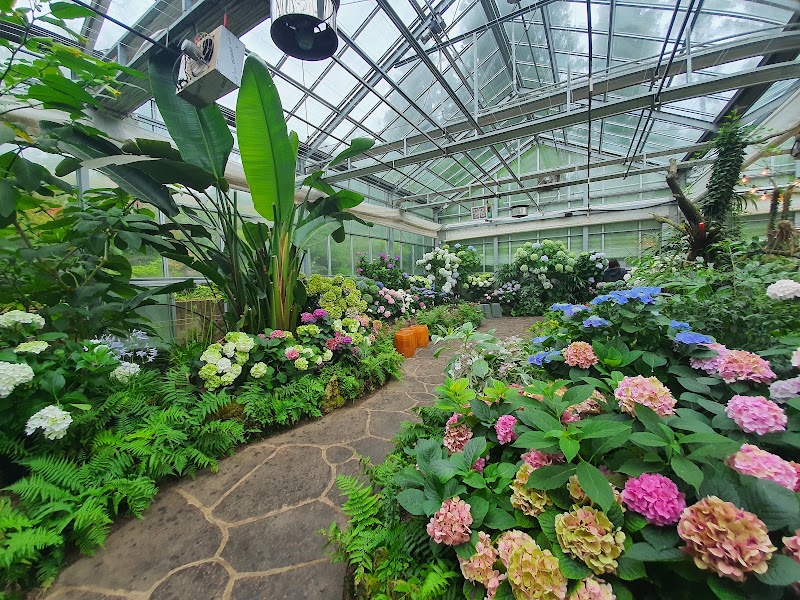 Camellia Hill Botanical Garden - Camellia Hill Botanical Garden, 166 Byeongak-ro, Andeok-myeon, Seogwipo, Jeju-do, South Korea