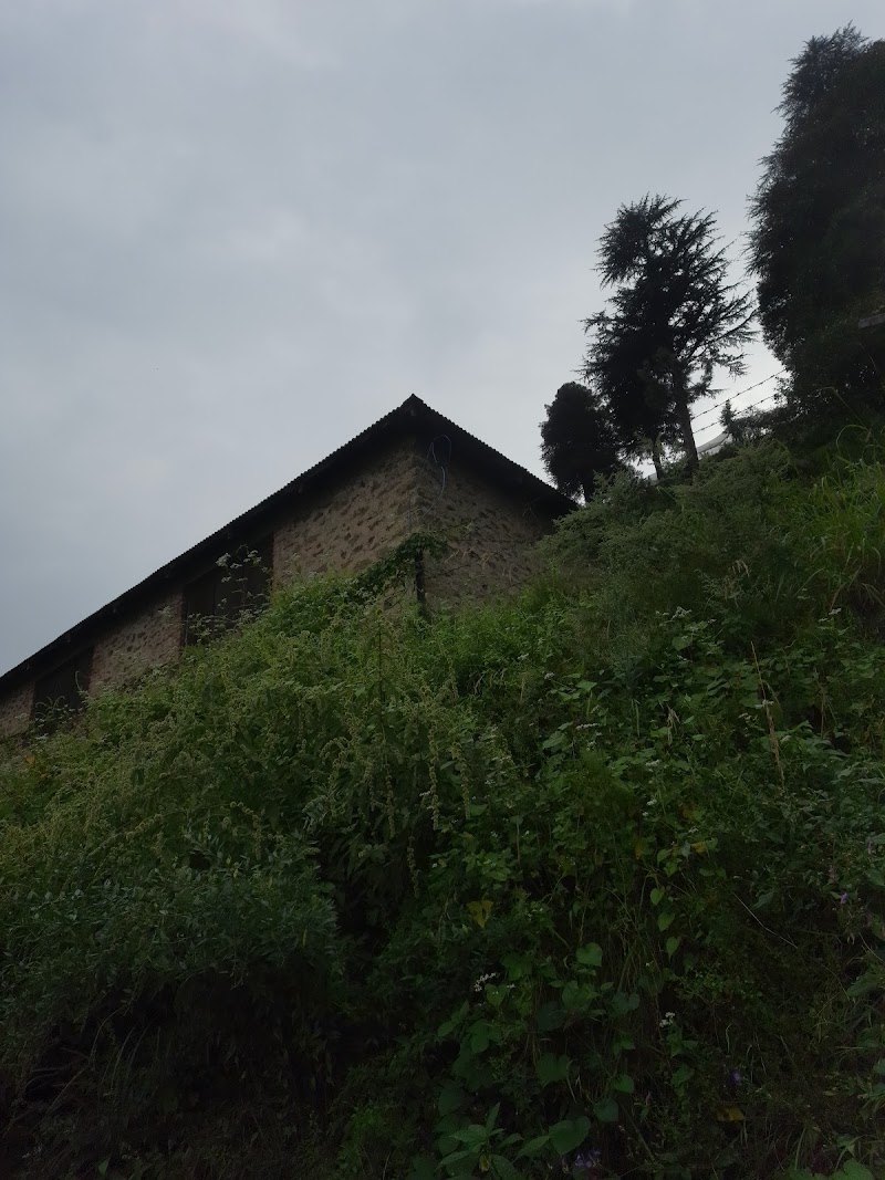 Thanadhar - Thanadhar, Himachal Pradesh 172030, India