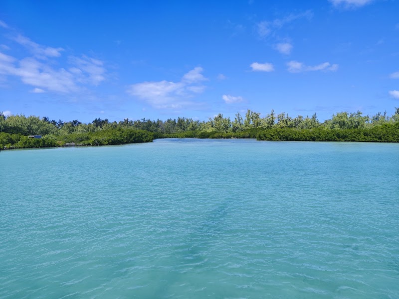 Ile aux Cerfs beach - Ile aux Cerfs beach, стров Серф о., PRM4+67V, Beau Champ, Mauritius