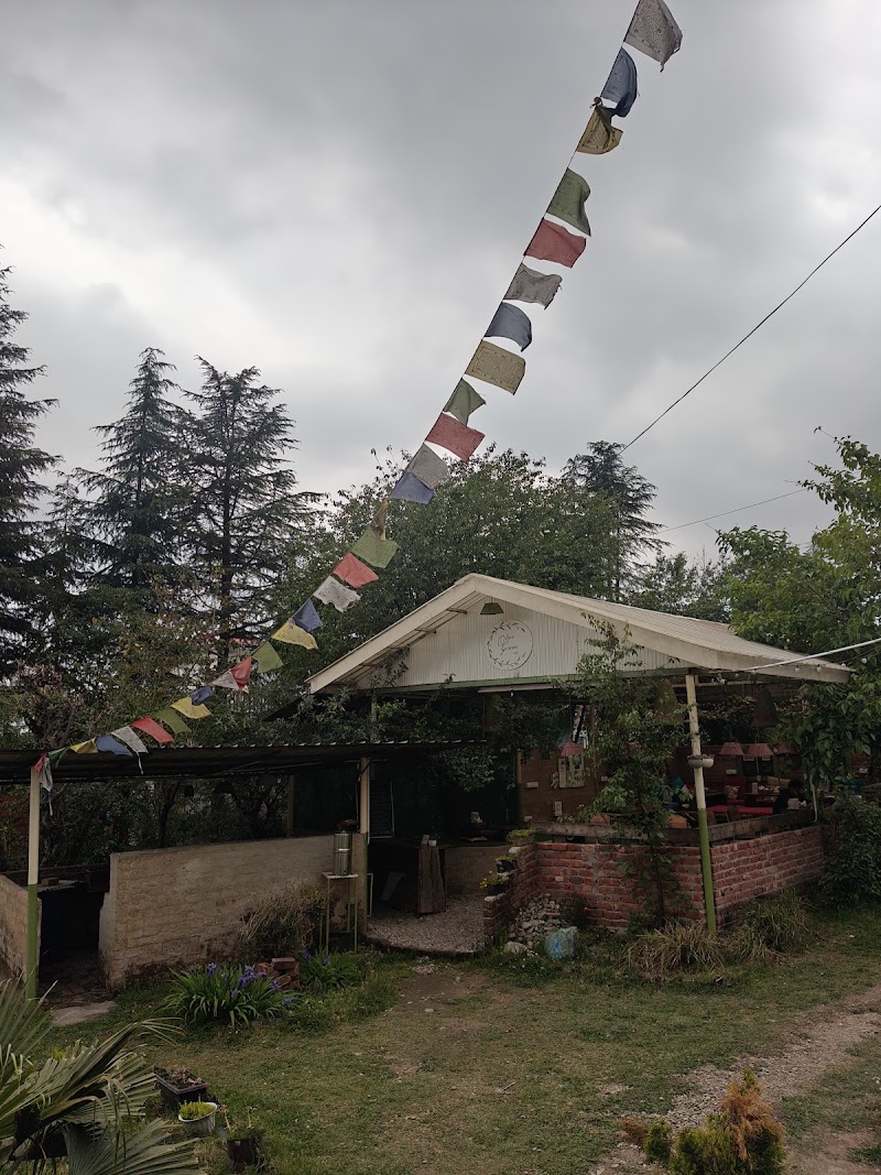 OG Cafe - Olive Green Cafe - OG Cafe - Olive Green Cafe, The Bunker, Bir-Billing Rd, Bir, Kotli, Himachal Pradesh 176077, India