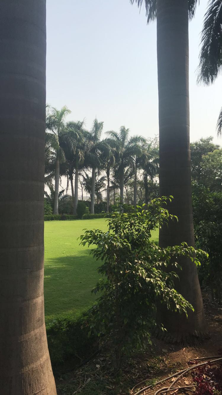 Raja Garden