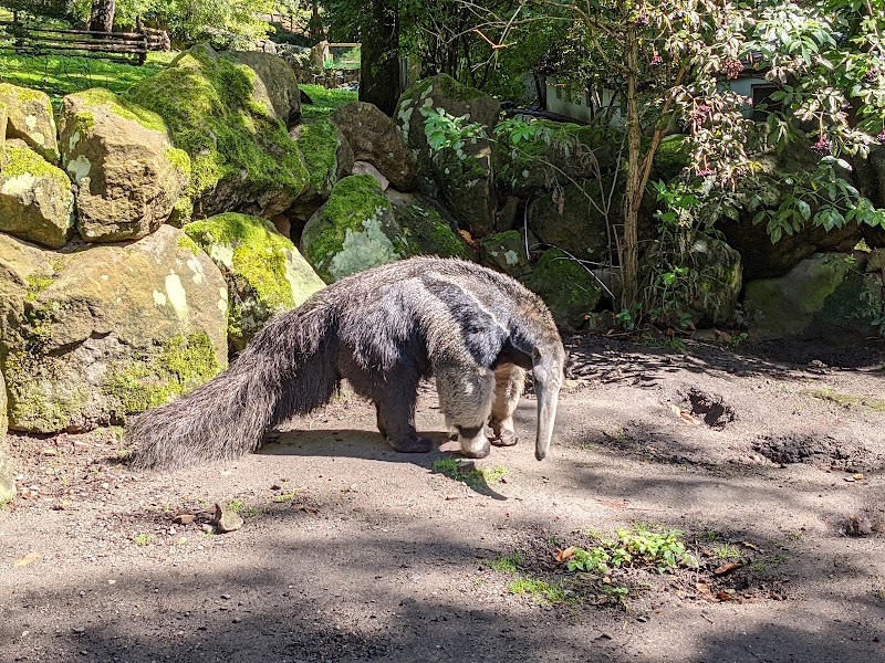 Děčín Zoo - Děčín Zoo, Žižkova 15, 405 02 Děčín-Děčín 2, Czechia