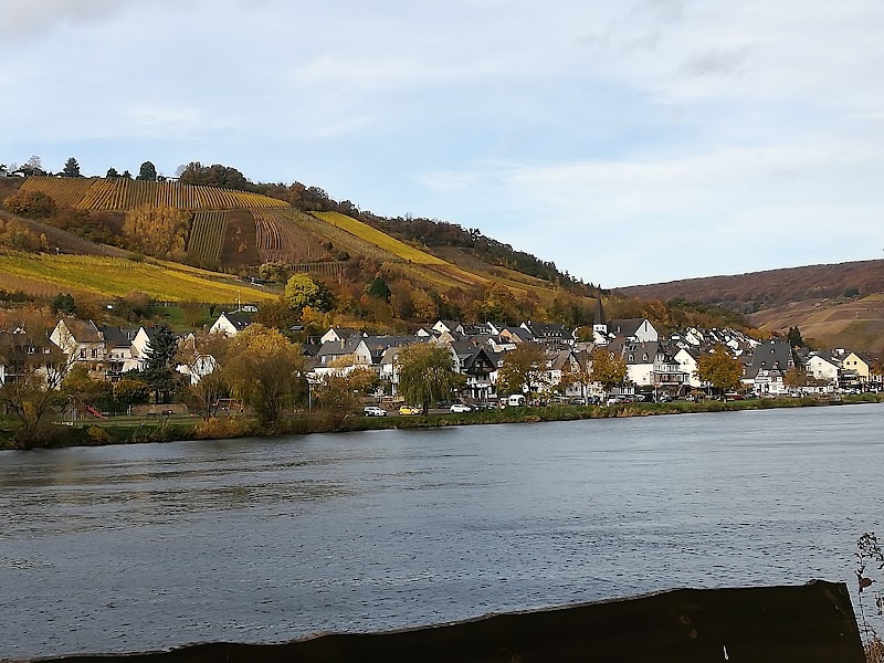 Ferienweingut Hallenbach - Ferienweingut Hallenbach, Brandenburg 20, 56856 Zell (Mosel)-Kaimt, Germany