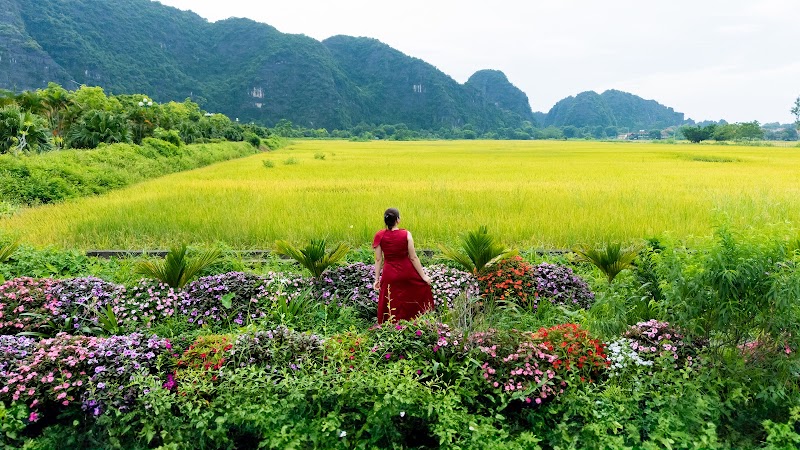 Tam Coc Friends Bungalow Ninh Bình - Tam Coc Friends Bungalow Ninh Bình, Đam Khê Trong, Nam Hoa Lư, Ninh Bình, Vietnam