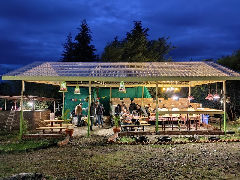OG Cafe - Olive Green Cafe - OG Cafe - Olive Green Cafe, The Bunker, Bir-Billing Rd, Bir, Kotli, Himachal Pradesh 176077, India