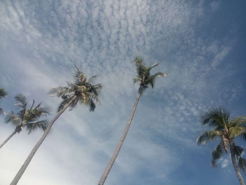 Central Coast - Central Coast, 07000, Kedah, Malaysia