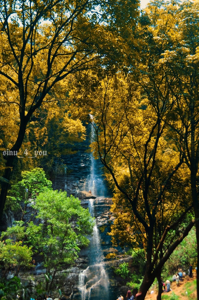 Jhari water falls path - Jhari water falls path, Inam Dattathreya Peeta, Karnataka 577131, India