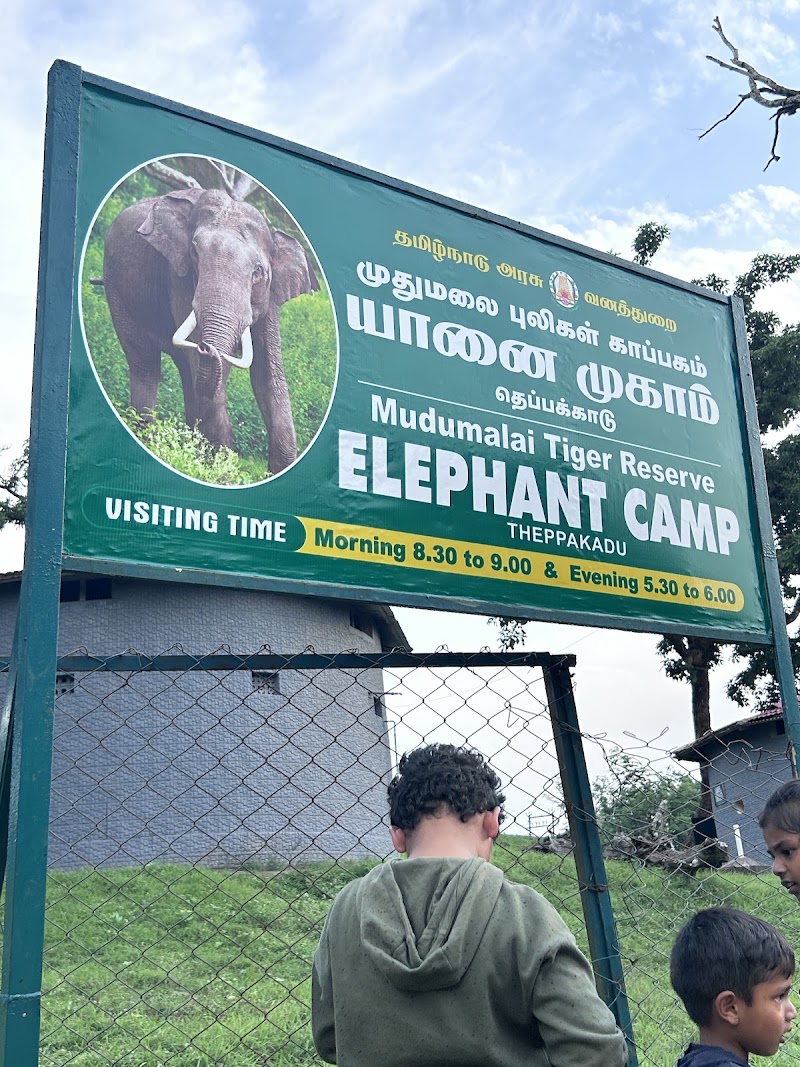 Theppakadu Elephant Camp - Theppakadu Elephant Camp HHHM+HJV, Theppakadu, Masinagudi, Tamil Nadu 643211, India