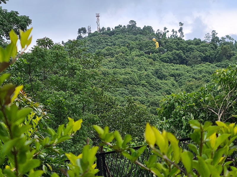 Dhulikhel Park - Dhulikhel Park JH87+C49, Dhulikhel 45200, Nepal