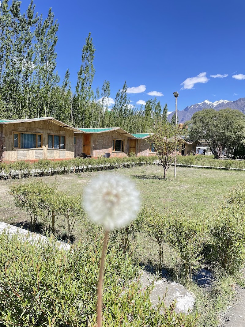 The Nubra Valley Resort