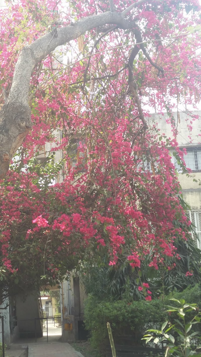 Sector 37 - Sector 37, Arun Vihar, Sector 37, Noida, Uttar Pradesh 201303, India