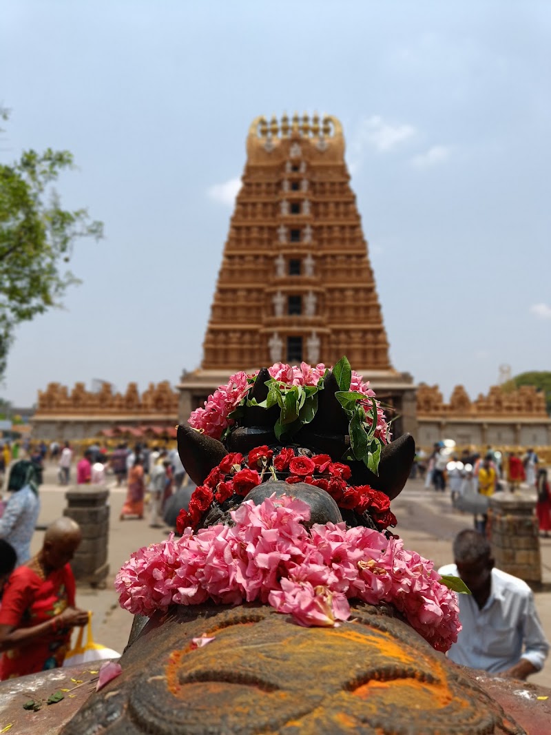 Nanjanagudu - Nanjanagudu, Karnataka, India