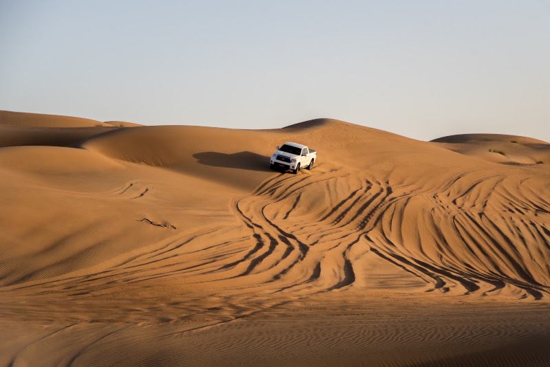 Arabian Oryx Camp - Arabian Oryx Camp, Bidiya, 9PRC+F87, Al Wāşil 421, Oman