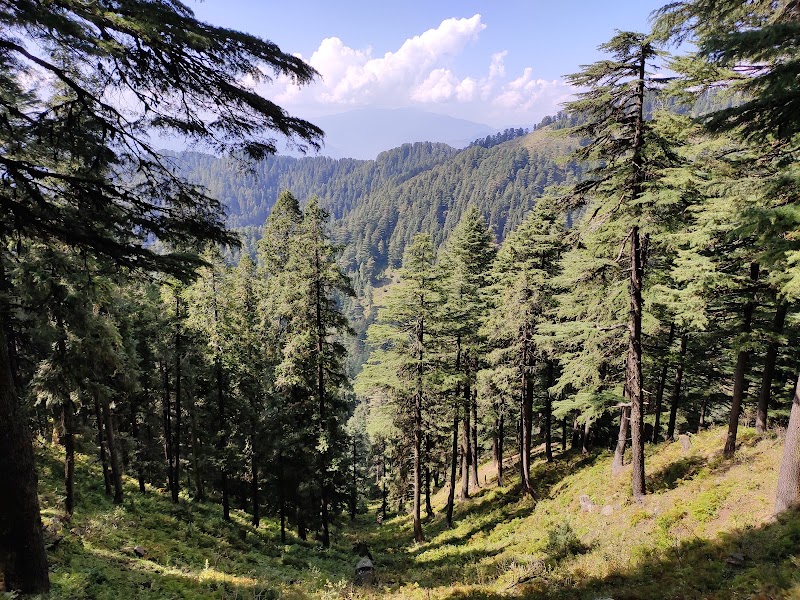 Budher Caves - Budher Caves, Budher, Bagani, Uttarakhand 248123, India