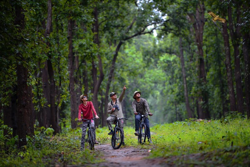 Aranyak Resort Kanha - Aranyak Resort Kanha Kanha Tiger Reserve, Mocha, Madhya Pradesh 481768, India