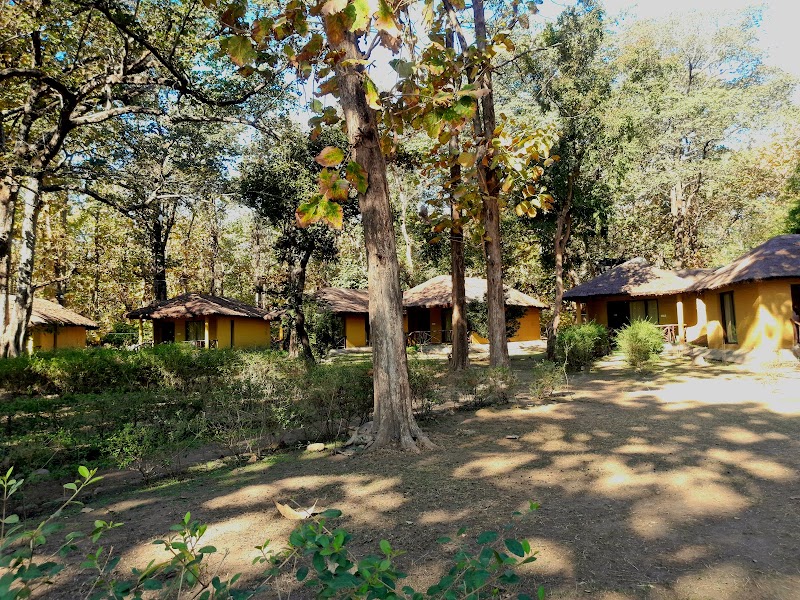 Bijrani Jungle Cottages by VEDAM - Bijrani Jungle Cottages by VEDAM C47H+6V, Dogadda Range, Uttarakhand 244715, India