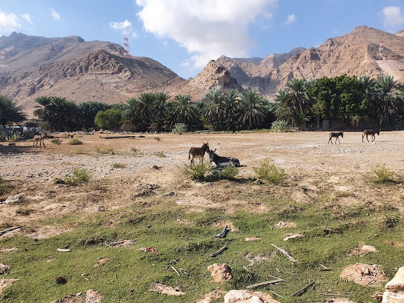 Pebble beach Tiwi - Pebble beach Tiwi, R7C7+MG7, Unnamed Road, Tiwi, Oman