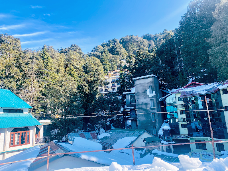Hotel forest dalhousie