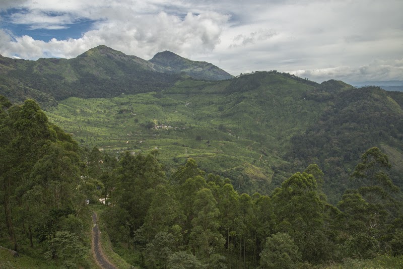 Mount Valley Resorts - Mount Valley Resorts near Pallivasal Tea Factory, PO, Pallivasal, Munnar, Kerala 685565, India