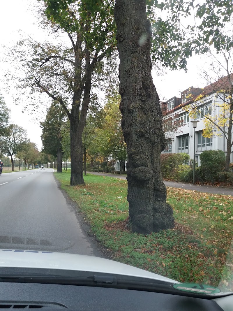 Ismaning - Ismaning, 85737 Ismaning, Germany