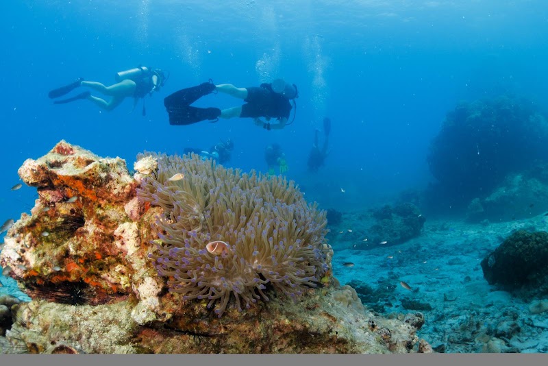 Master Divers - Master Divers, 25, 8, Mae Haad Koh Tao, Amphoe Ko Pha-ngan, Chang Wat Surat Thani 84360, Thailand
