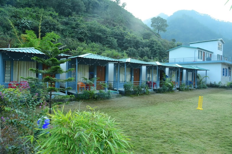 Bougainvillea - by GoGreen Group - Bougainvillea - by GoGreen Group Bougainvillea,Bairagarh village, near iron bridge, Mohan Chatti, Rishikesh, Uttarakhand 249304, India