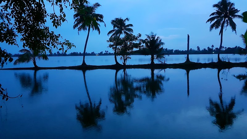 The Great Backwaters - The Great Backwaters G9G5+95J, Lake, Punnamada, Vembanad, Aryad South, Keralam 688006, India