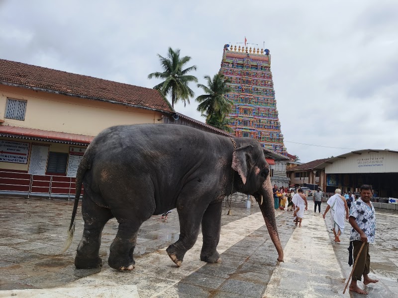 Shri Jagadguru Shankaracharya Mahasamsthana Dakshinamnaya Shri Sharada Peeta - Shri Jagadguru Shankaracharya Mahasamsthana Dakshinamnaya Shri Sharada Peeta C793+F59 Sri Math, near Temple, Sringeri, Karnataka 577139, India