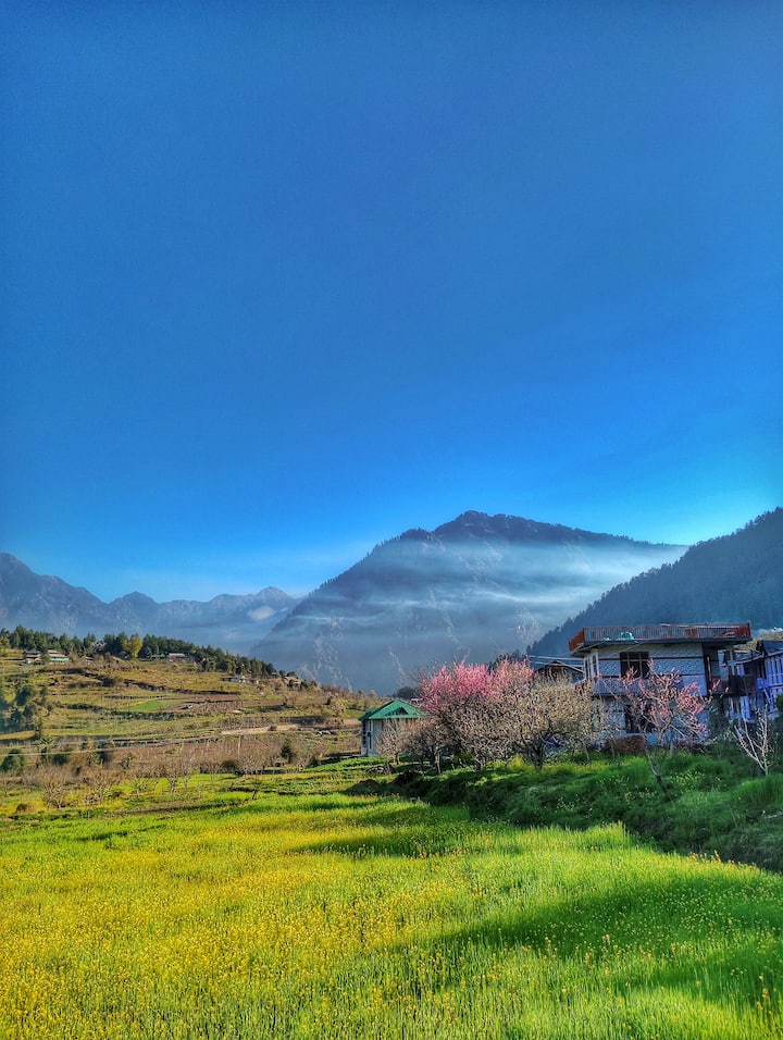 The Hidden Nest Homestay - The Hidden Nest Homestay Village, Renh Deohari Valley, Sainj, Kanaun, Himachal Pradesh 175134, India