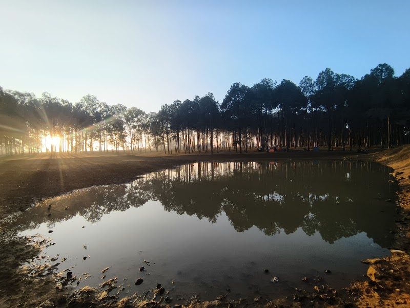 Pine Forest - Pine Forest F7W2+322, Netarhat, Jharkhand 835218, India