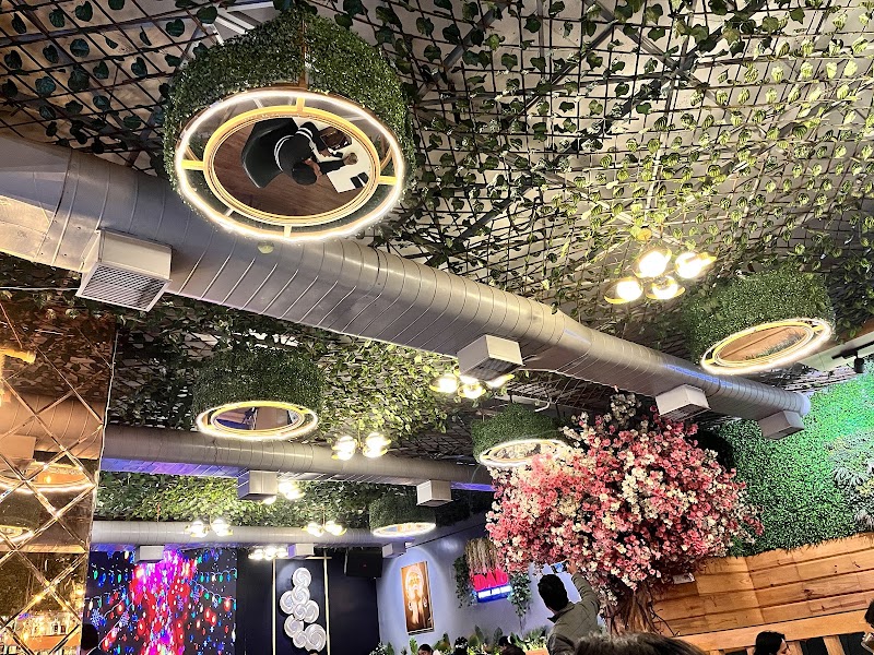 Drink and Dine by Terrace - Drink and Dine by Terrace FOF 23D to FOF 24, 4th floor, Spectrum metro mall, Gardenia Gateway, Sector 75, Noida, Uttar Pradesh 201316, India