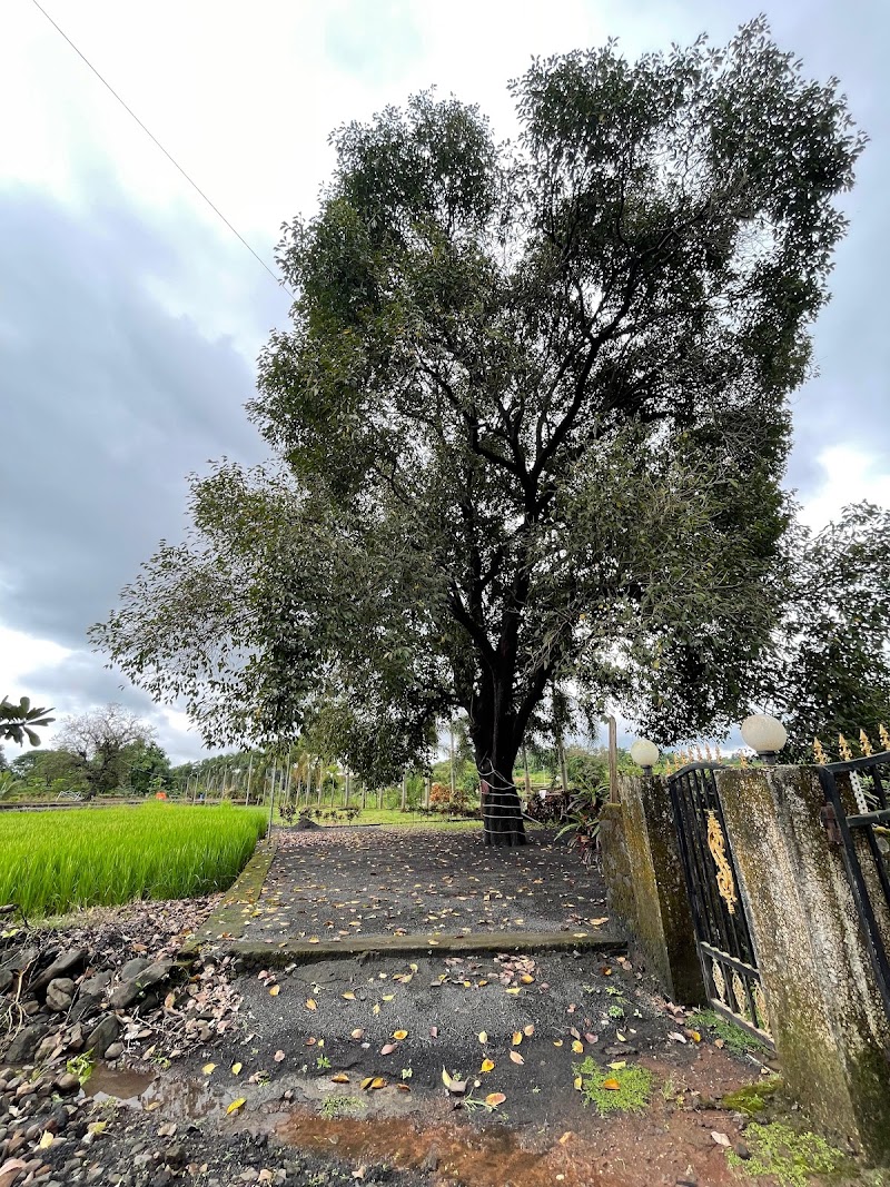 Riverside Farmhouse - Riverside Farmhouse Near Barvi River, Asnoli, Bridge, Barvi Dam Rd, Badlapur, Chandap, Maharashtra 421503, India